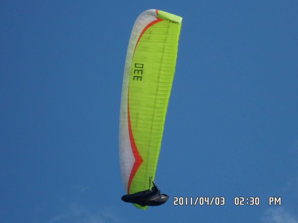 SAM_0390.JPG
