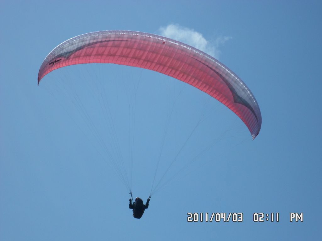 SAM_0341.JPG