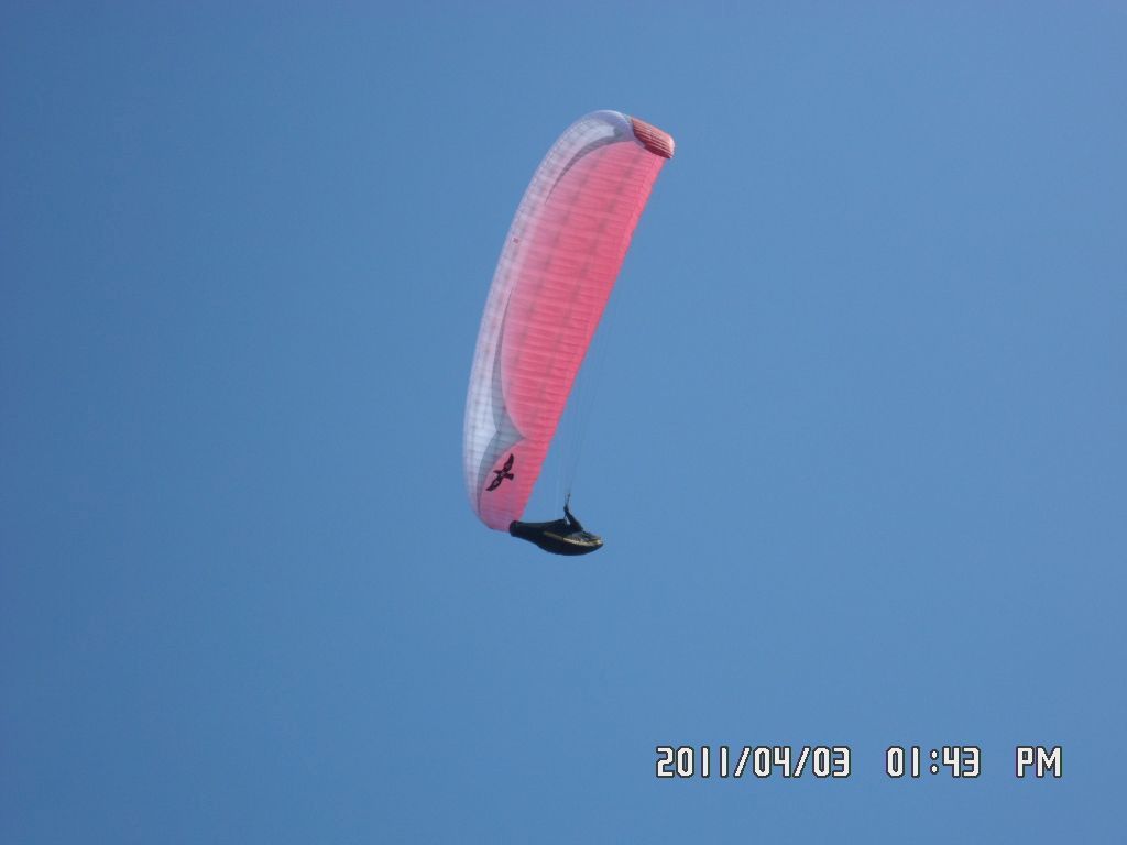 SAM_0277.JPG