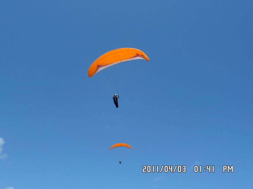 SAM_0266.JPG