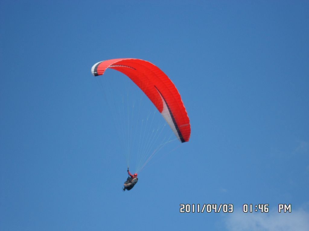 SAM_0290.JPG