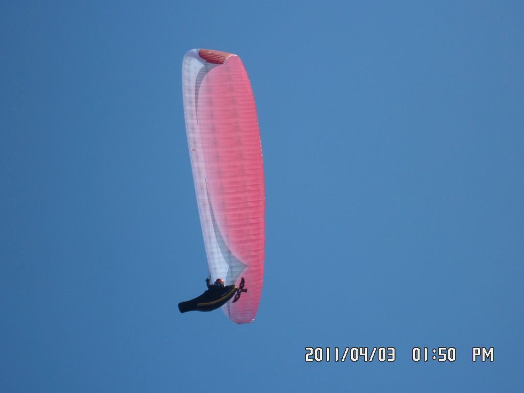 SAM_0299.JPG