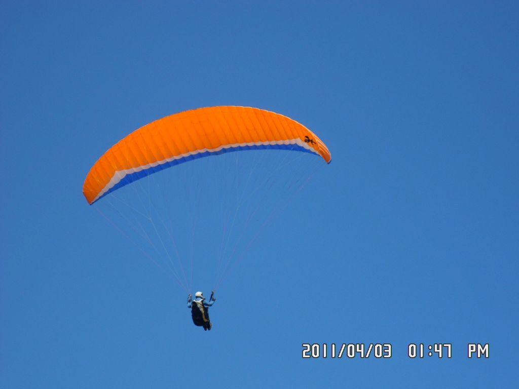 SAM_0294.JPG