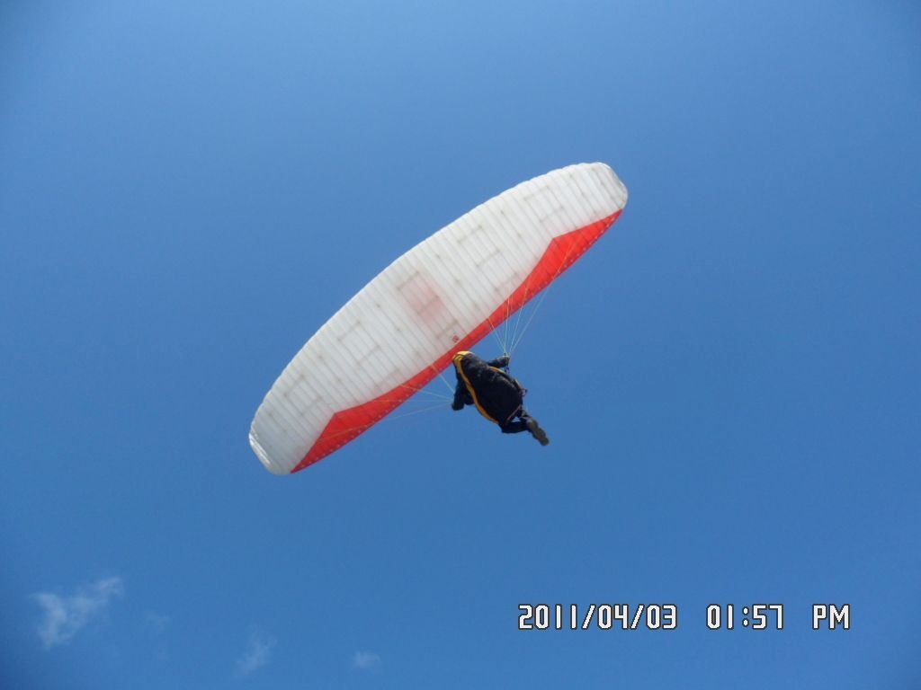 SAM_0307.JPG