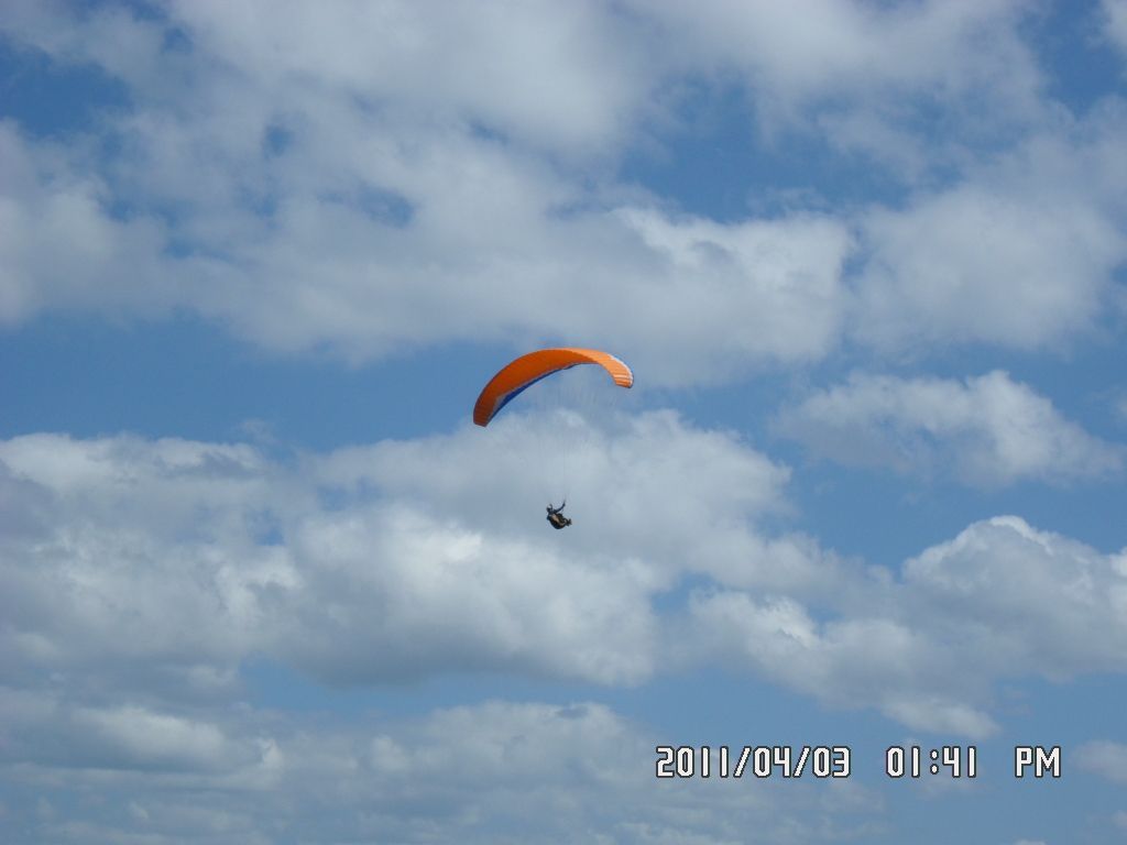 SAM_0269.JPG
