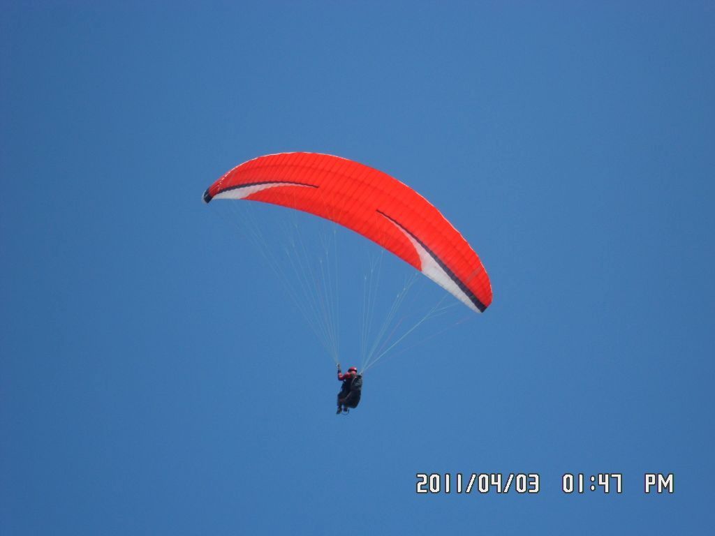 SAM_0295.JPG