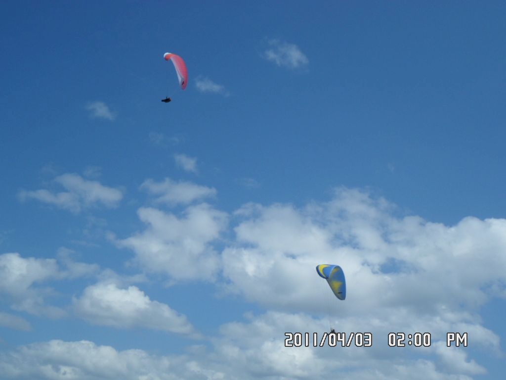 SAM_0319.JPG