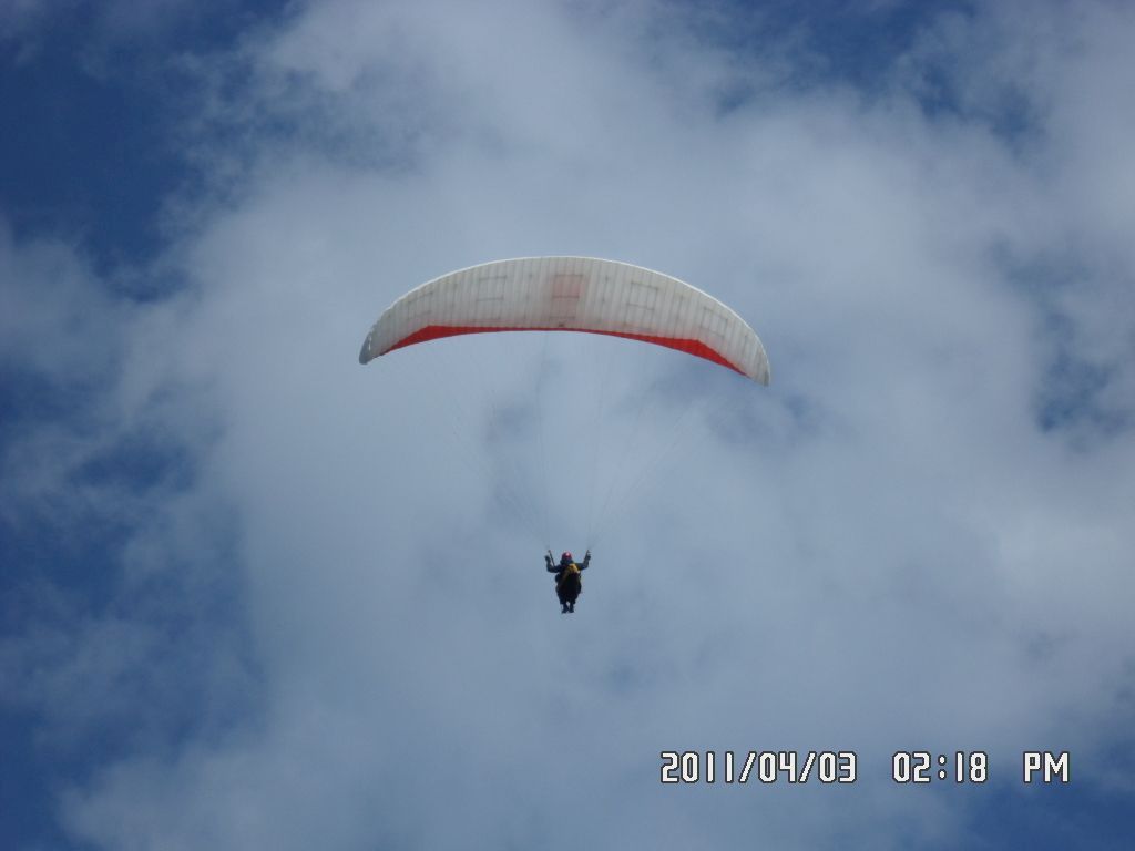 SAM_0356.JPG