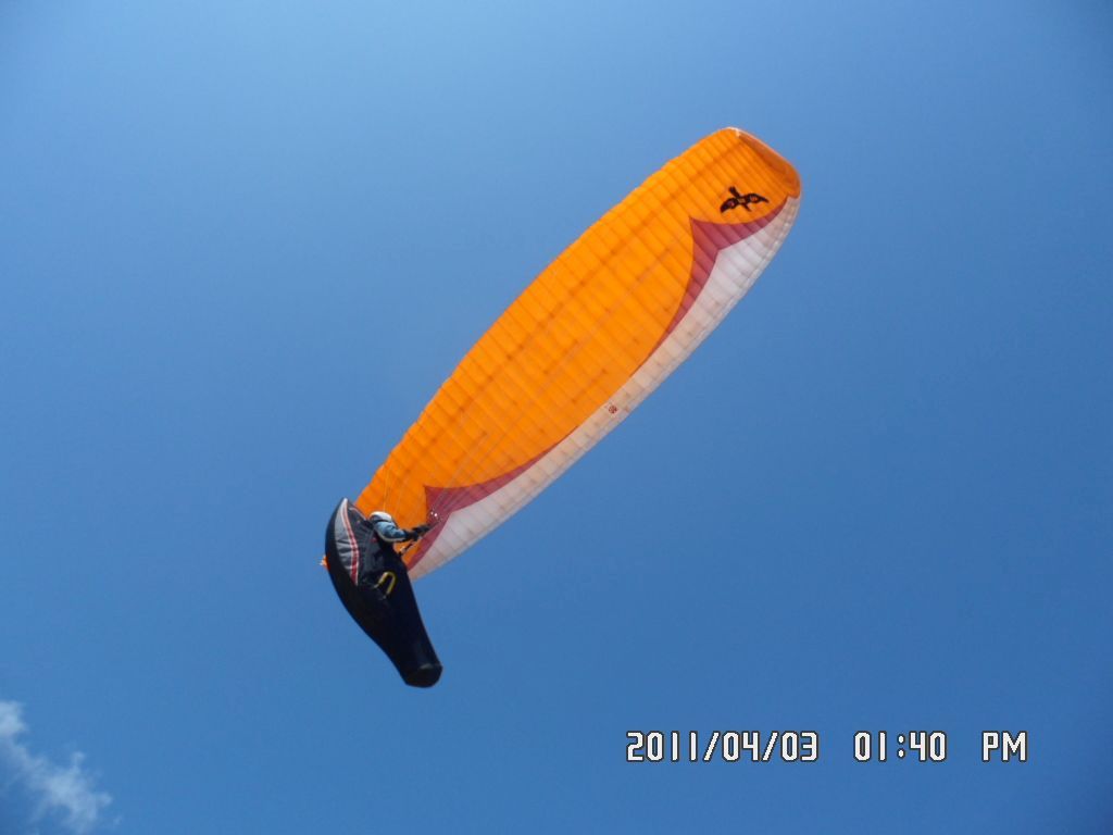 SAM_0264.JPG