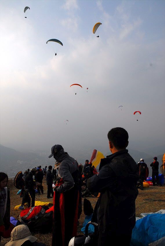 D11_7517.jpg