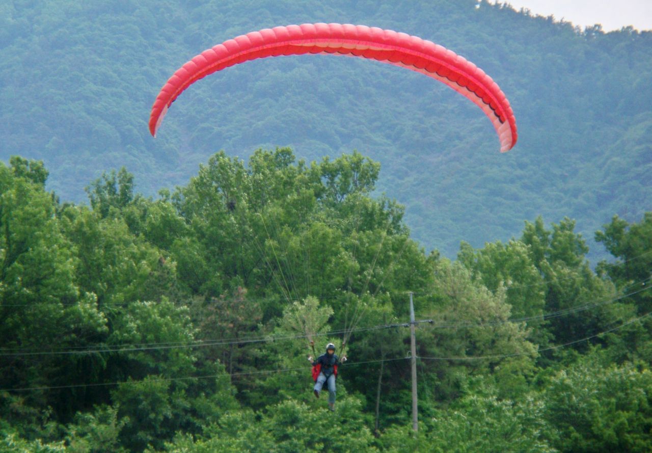 100_1551-c.jpg