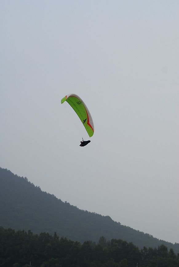 D11_5441.jpg