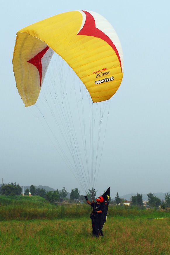 D11_5464.jpg
