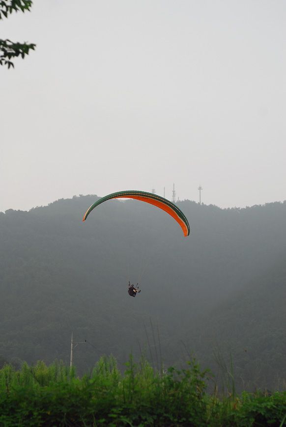 D11_5391.jpg