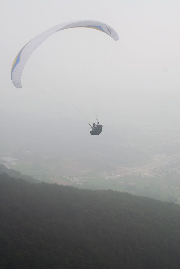 D11_5269.jpg