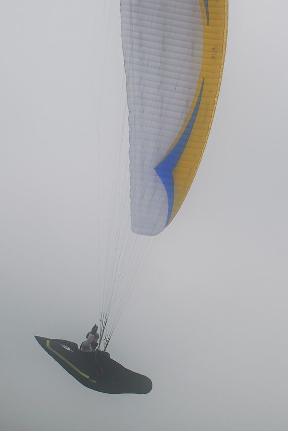 D11_5276.jpg