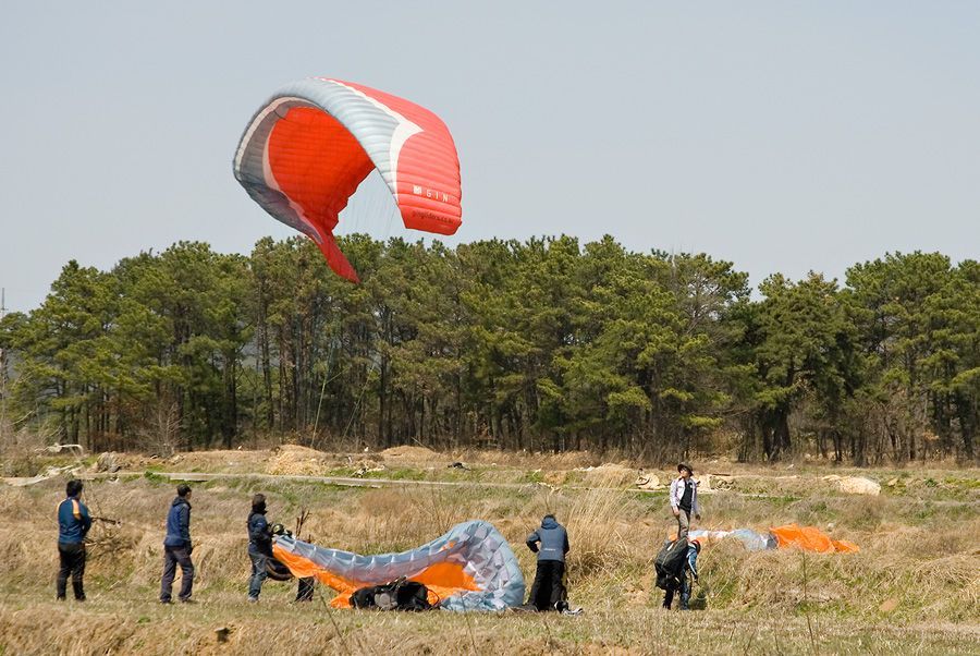 _D122171.jpg