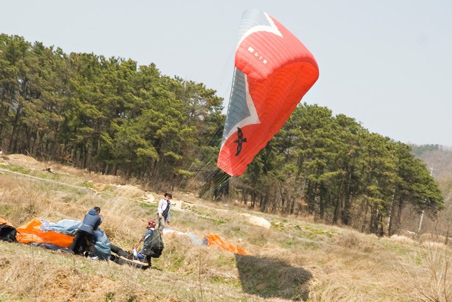 _D122172.jpg