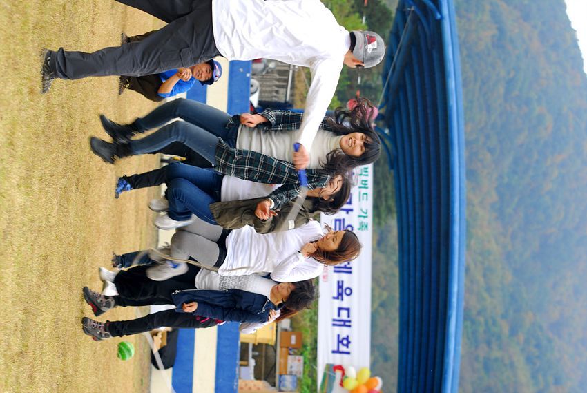 D11_7009.jpg