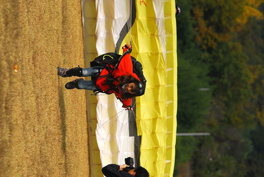 D11_6946.jpg