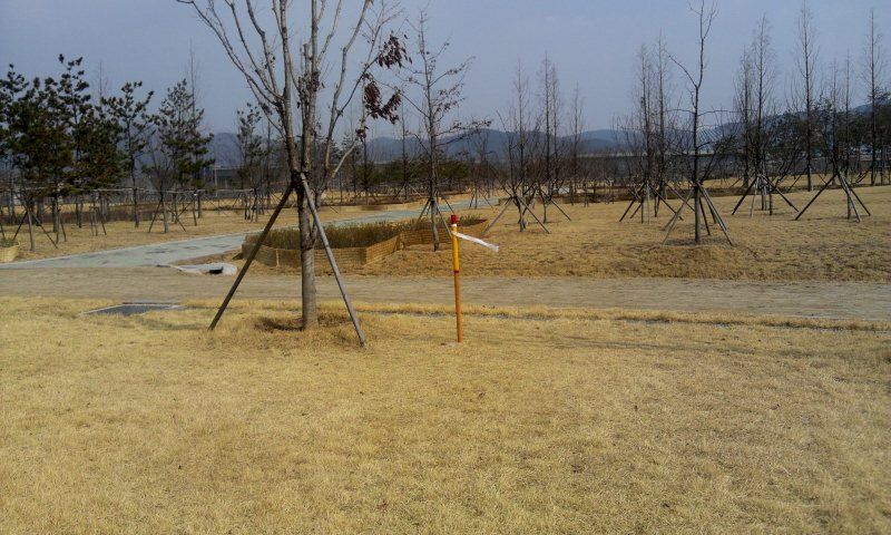 2012-02-23 11.35.01.jpg