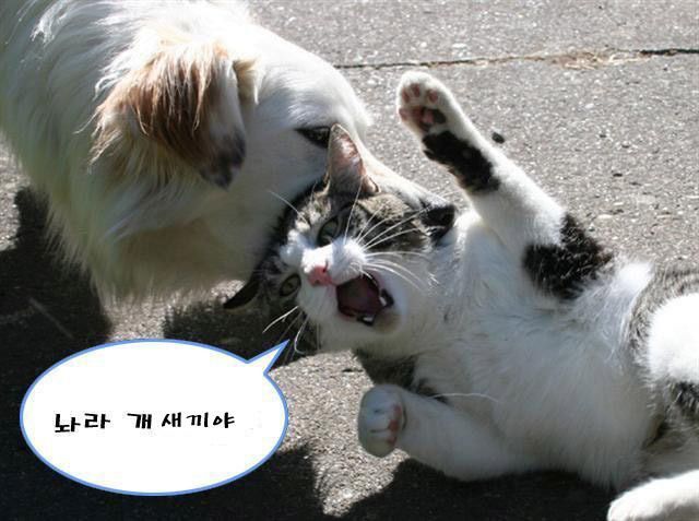 나라_~1.JPG