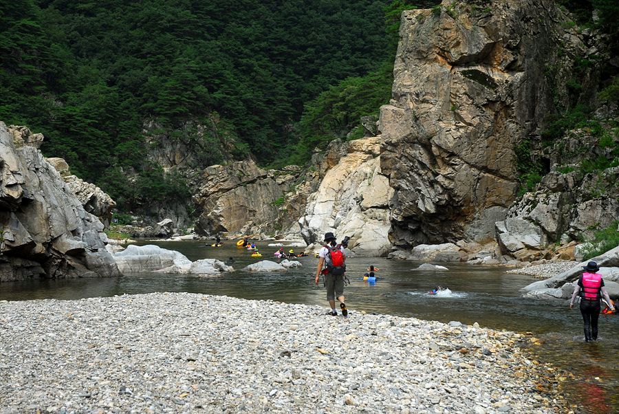 D11_5576.jpg